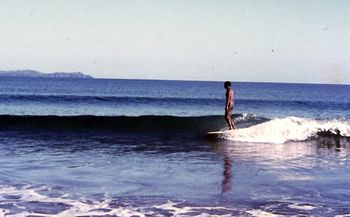 Beautiful shot of Tui gliding across a sweet little Pataua wall..... Summer of '65....magic days 'hotdoggin' the bar...sweeeet!!
