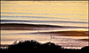 Trestles, west coast US 1990 ...heavy kelp.... supa smooth conditions
