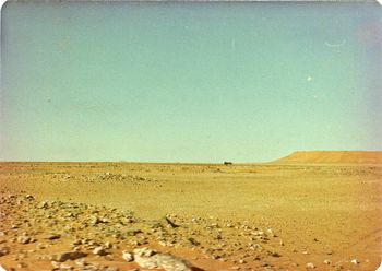Sahara ...lonely camel...1972
