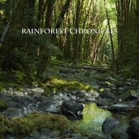 Rainforest Chronicles by earth.boy