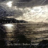 Broken Voyage by Kelly David