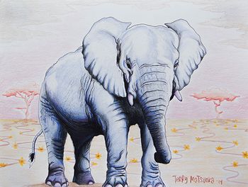 Terry_Matsuoka-_Elephant1
