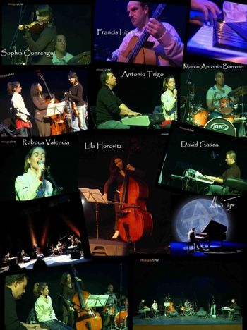 Alma-Bonsai-Band-Collage Alma-Bonsai-Band
