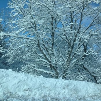 Sancy Snow Jazz Festival, La Mont-Dore, France
