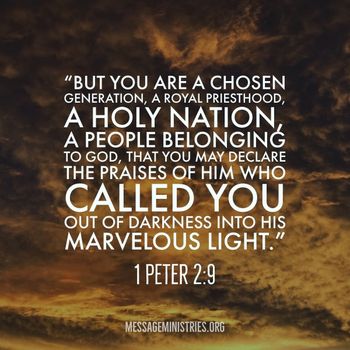 1_Peter_2-9_But_you_are_a_chosen_generationa_royal_priesthooda_holy_nation
