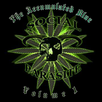 The Accumulated Blur Vol. 1 by Social Parasite