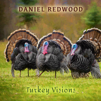Turkey Visions by Daniel Redwood