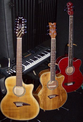 POOKA_BLIND_4 the Dean 12, Dean 6 & the 5-string Dragonfly
