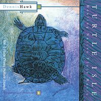 Turtle Isle by Dennis Hawk