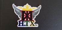HTX - HOUSTON  TEXAS UNKNOWN ISIGNIA - IRON ON PATCH