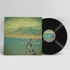 Lost Causes: Vinyl, T-Shirt, Koozie Bundle - $40