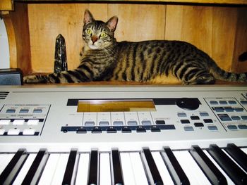 keys_n_cats
