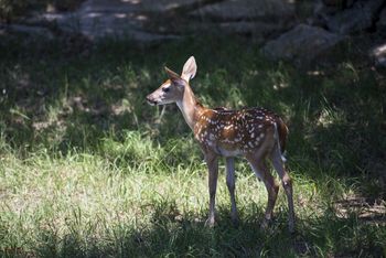 New kid in the neighborhood
