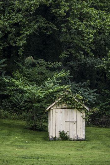 Jungle Shed Boxley Valley, Arkansas
