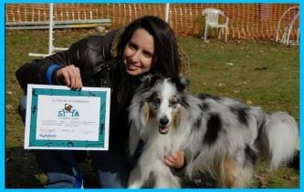 Cathy & Casper completing Basic Agility ! Way To Go !
