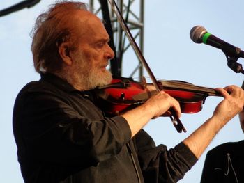 Merle On The Fiddle
