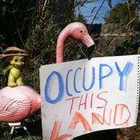 Occupy This Land by Glenn Smith