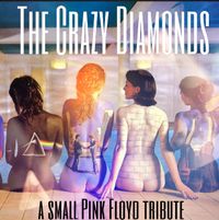 The Crazy Diamonds - A Small Pink Floyd Tribute