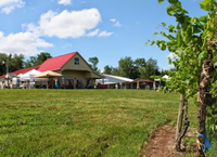The Winery at Hunters Valley