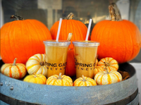 Pumpkin Palooza at SpringGate