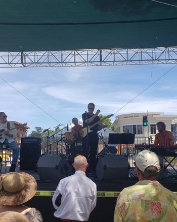 Novato_Festival_of_ArtWine_Music_pic_02
