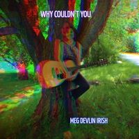 Why Couldn't You by Meg Devlin Irish