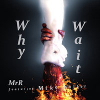 Why Wait by MrR - featuring Mike Walker