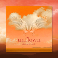 Unflown by Johnny Schaefer