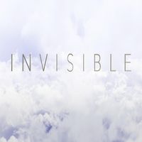 Invisible by Steven Buckner