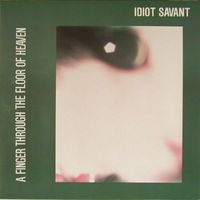 A Finger Through The Floor Of Heaven by Idiot Savant