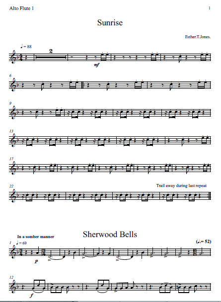 Fairy Tail Opening 24 Sheet music for Flute (Solo)