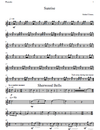 Percussion Suite for Flute Choir