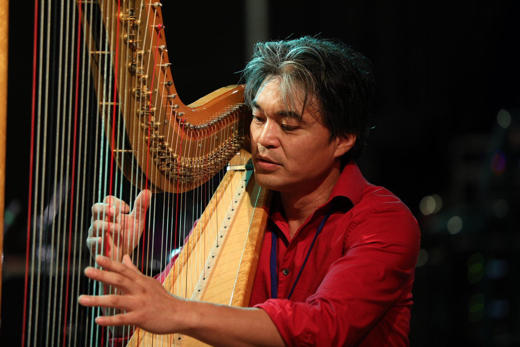 harpmusician.com - Photo Gallery