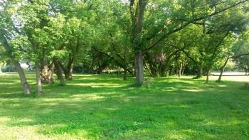 Edwards Ranch Treescape.
