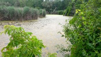 Edwards Ranch old Onondaga Creek 2.
