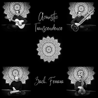 Acoustic Transcendence  by Zach Ferrara 
