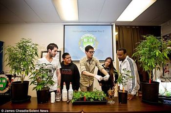 Oaksterdam Grow Lab
