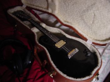 My electric mandolin these days
