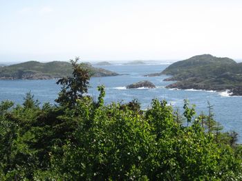 Offshore Islands Photo by Amy Sela Colbourne
