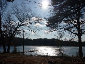 lake view dock
