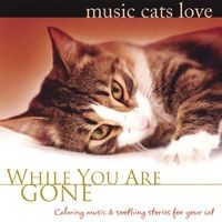 Music Cats Love: While You Are Gone by Bradley Joseph