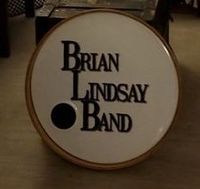 Brian Lindsay Band Rock happy hour at The Record Archive