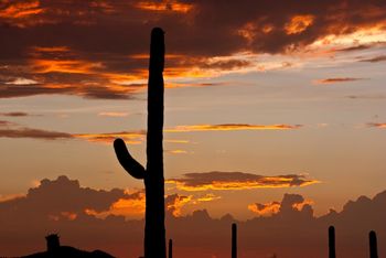 Tucson_Mtn_Park_8-6-11p
