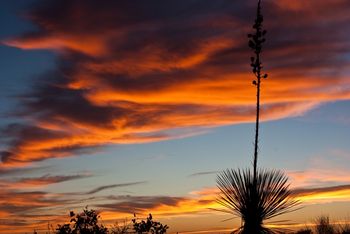 Santa_Teresa_Sunset_263
