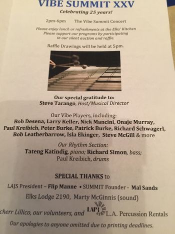Program from Vibe Summit Frist time participating in the Vibe Summit
