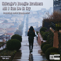 All I Can Do Is Cry - MusicCares Version  by Chicago's Boogie Brothers featuring David Grundhoefer