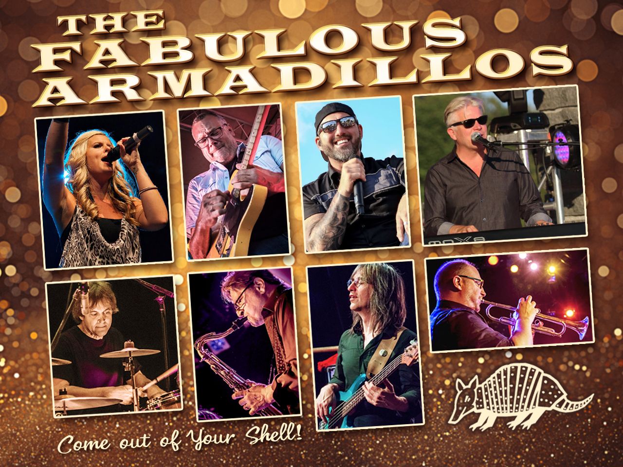 Fabulous Armadillos - Booking