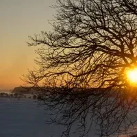 To Wake You - Winter and the Sacred Tree Concert