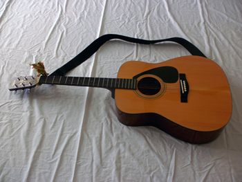 Guitar
