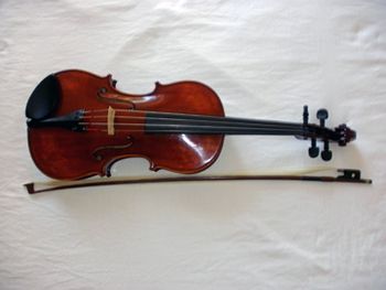 Viola
